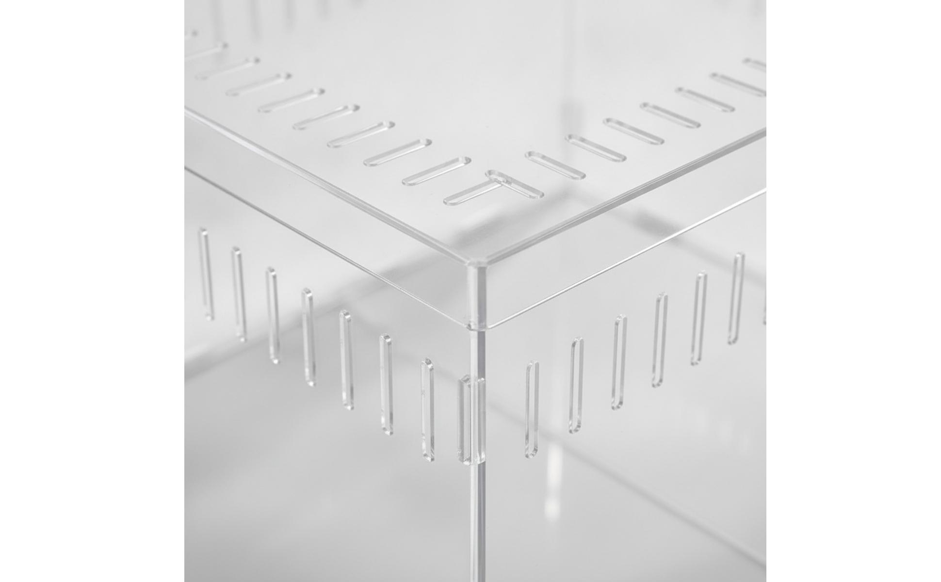 Transparent Acrylic Reptile Enclosure Divided Interior for Home Hobby Rooms