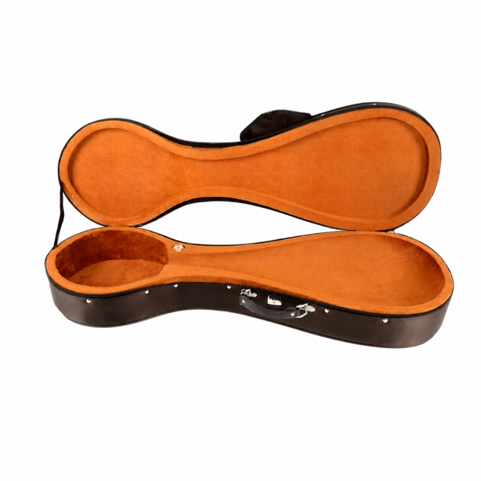 Hard-Shell Pipa Storage Case Safeguarding for Performances, Rehearsals