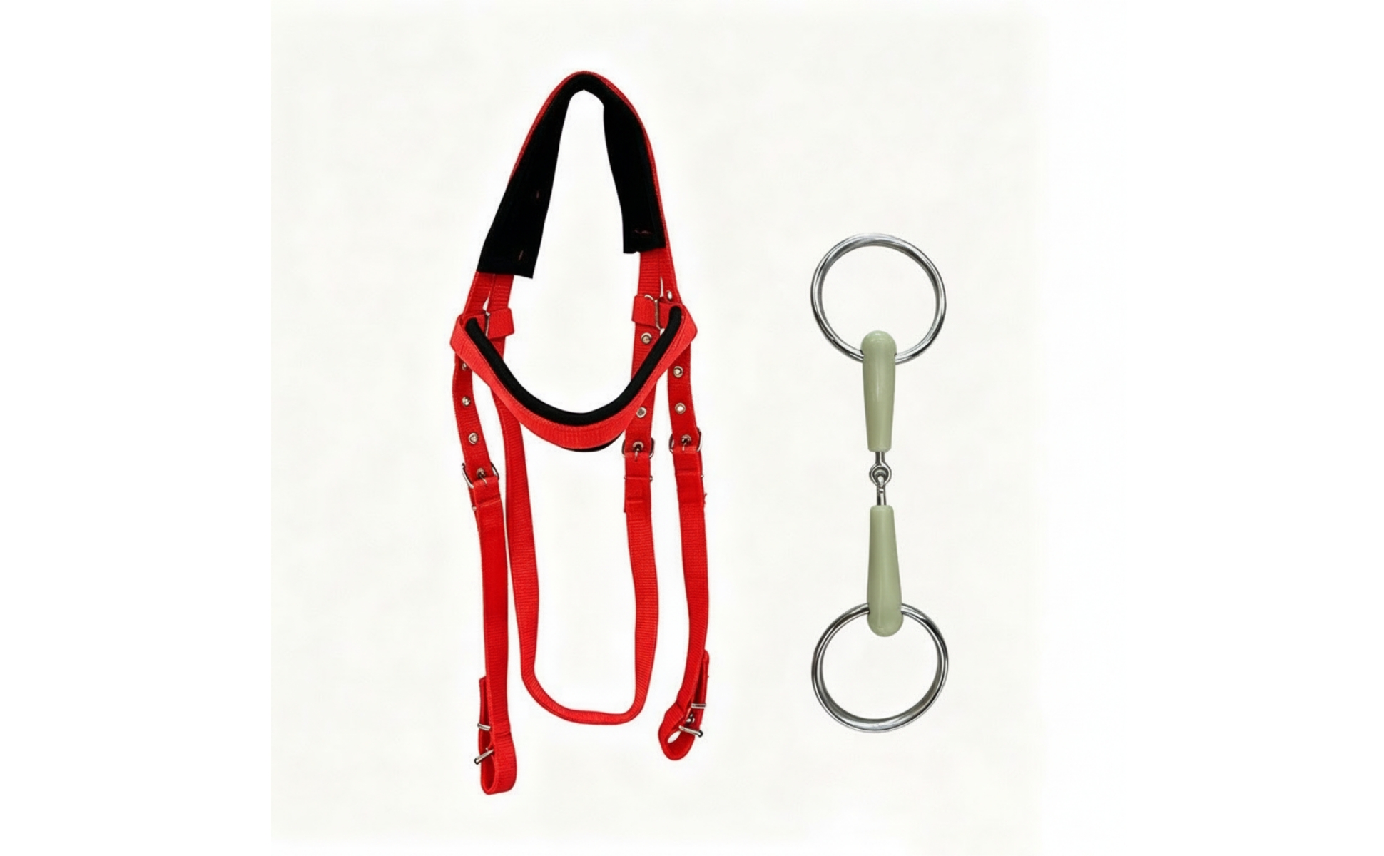 Two-Piece Bridle Set for Arena Work, Controlled Exercise, Equestrian Riders