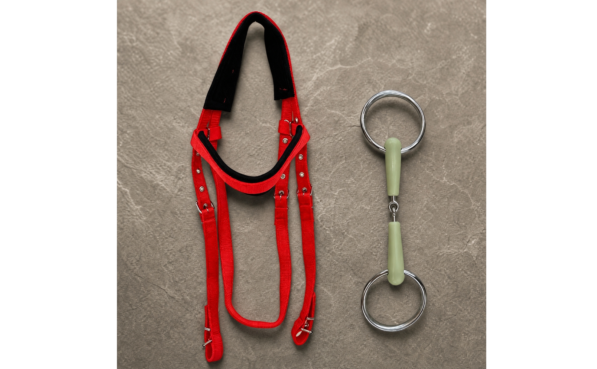 Two-Piece Bridle Set for Arena Work, Controlled Exercise, Equestrian Riders