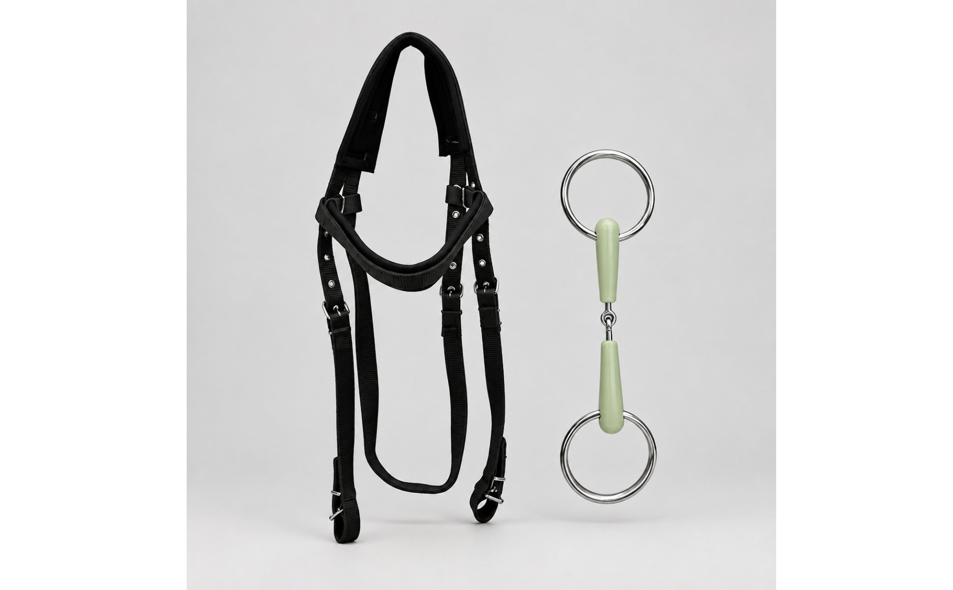 Two-Piece Bridle Set for Arena Work, Controlled Exercise, Equestrian Riders